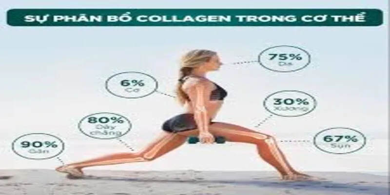 uống Uni Nano Collagen A+ _3