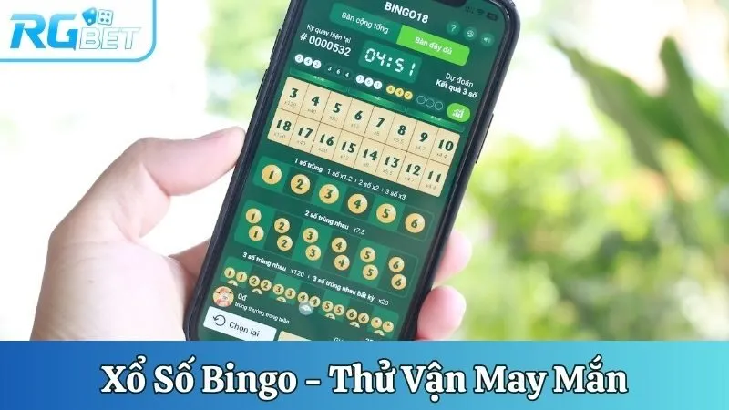 Xổ số Bingo